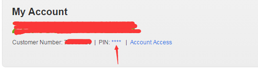 GoDaddy账户怎么查看和修改PIN码